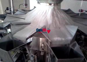 China Detergent 10 head multihead weigher 500gram 400kg factory