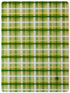 China 1/8 Inch Green Grid Cast Pearl Acrylic Sheets Board 1.2g/cm3 Density factory