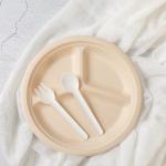 Round Biodegradable Bagasse Plate 3 Grid