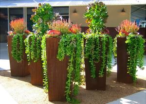 China Modern Style Large Corten Steel Planter Boxes For Outdoor Decoration 80cm Height factory