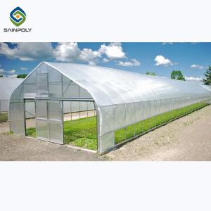 China Galvanized Steel Single Span PE Film Greenhouses For Agriculture factory