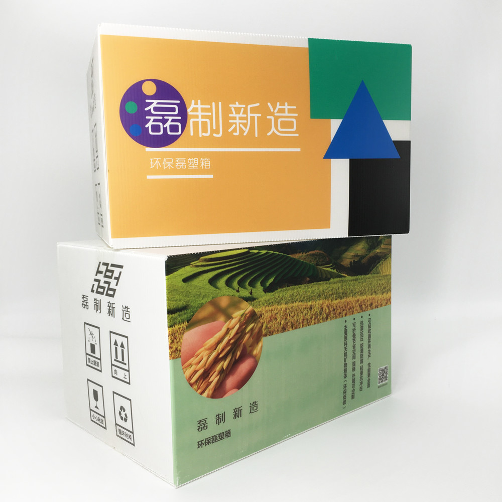 5.0mm Corrugated Plastic Storage Boxes Cold Adaption Pharmacy Packaging Carton