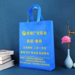 Environmental Friendly Handled PP Non Woven Packaging Bags For Supermarket