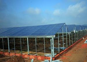 China Modern Multi Span Agricultural Greenhouse , Plastic Film Hydroponic Greenhouse factory