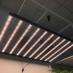 1500W Horticulture LED Grow Light Samsung LM301H Osram 660nm 730nm