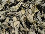 HACCP Certified Steamed 100% Natural Dried Sea Food Tangle Kombu Kelp Sea