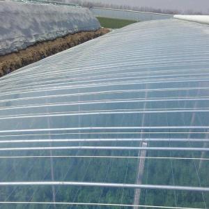 Stearic Acid Glyceryl Mono Stearate GMS99 & Plastic Additives