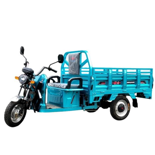 Electric Trike Tricycle for Cargo Cab Driving DAYANG 1000W Motor 50 Km/h 400 kg