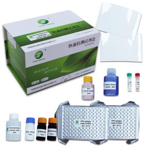 China ISO9001 Diagnostic Porcine Veterinary Test Kit 192 Wells Per Kit PPV factory