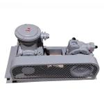 Electric Motor-Powered Standard Propane Vane Pump for Standard Fuel Transfer