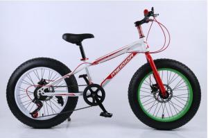 China 198cm Height Lightest 26 Inch Electric Fat Bike factory