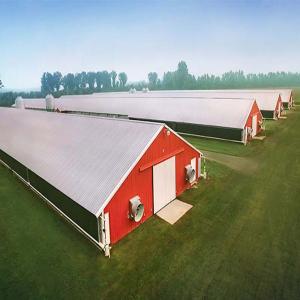 Durable Steel Structure Poultry House for Livestock Farming
