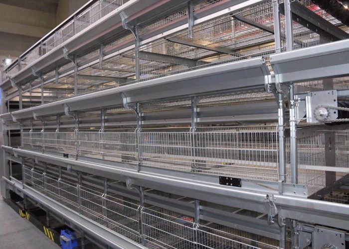 High Capacity Poultry Farm Cage System Broiler Chicken Cage 42 Kgs Weight