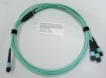 24 Fiber Optical MTP MPO Cable Assemblies OM3 10G Aqua 25 Meter Blue