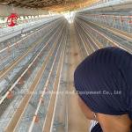 Galvanized Poultry Farm Layer Cage Battery Cage Price In Nigeria Lagos Warehouse