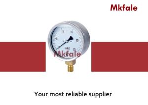 China IP44 Brass Connection Liquid Filled Water Pressure Gauge 63mm 75mm 100mm 160mm factory