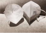 Disposable N95 Particulate Filter Mask Earloop Style Face Protection