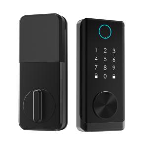 China Tuya Smart Fingerprint Door Lock Zinc Alloy For Home Security factory