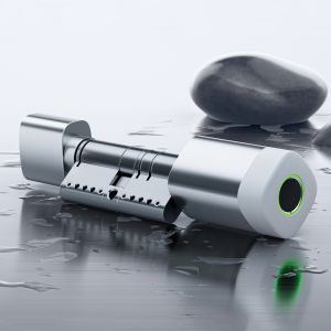 China Liliwise Fingerprint RFID Card Waterproof Door Lock Adjustable WiFi BLE Tuya Ttlock Smart Cylinder Lock for Replacing Old Mechanical factory