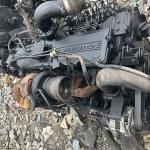 Universal Year WEICHAIYUCHAI 6L 8.9L 375HP Diesel Engines with Mitsubishi Steel