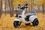 Children's Mini Tricycle Ride On Toys Car 6V Electric Motorcycle for Kids Gender