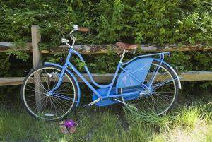 China CE standard steel 26/28 inch old style dutch city bike with basket Shimano Nexus inner 3 speed factory