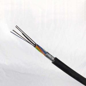 China 14 Core OM3 Single Mode Outdoor Fiber Optic Cable GYTA Telecommunication factory