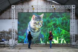 China SMD2121 HD Tv Stage Background Led Display Video Wall 1300cd / M2 Brightness factory