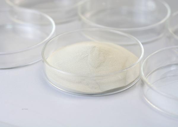 Lactase Food Grade Enzymes β-Galactosidase Digestive Aid Used For Oligogalactose