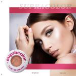 Face Oil Control Makeup Foundation 20 Colors Kryolan Waterproof Face Powder