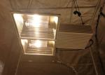 580µmol/s 164ft CMH Grow Lights Full Spectrum 630W