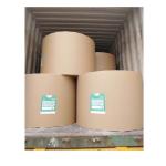 Offset Printing Compatible Ningbo Fold Paper Board C1S Coated 190-400gsm FBB