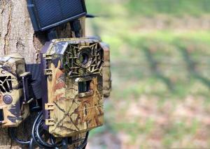 China 138*105*70 Mm 4G Wireless Game Trail Cameras Stealth Cam Trail Camera factory