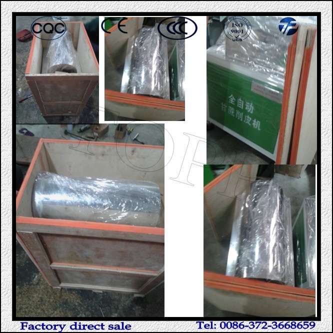 Automatic Sugarcane Skin Peeling Machine of Fruit vegetable processing machine