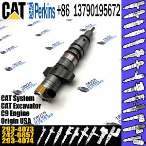 China Common Rail Diesel Fuel Injector 10R-7223 293-4073 For Caterpillar C9 Diesel Engin Common on sale