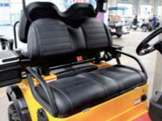 Rust-Proof D302 All-Terrain Performance Golf Cart High-Strength Composite Independent Rear Suspension