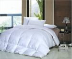 Home TextilesHealthy Feather and Down Duvet Covers