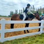 White 3rails PVC Horse Fence Stable Plastic Horse Field Fencing
