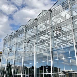 China Multispan Metal Frame Venlo Glass Greenhouse With High Durability factory