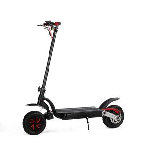 China 10 inch 700w dual motor 2 wheels folding electric scooter with double battery optional factory