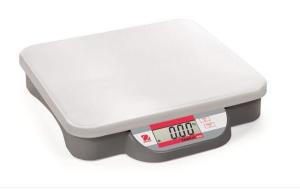 China Veterinary Weighing Bench Platform Scales Industrial Weight Bench 280 Mm X 316 Mm factory