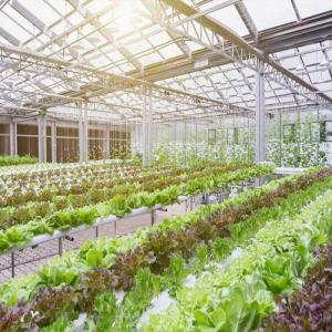 China 10-60 ° Horizontal Vertical Greenhouse Solar Systems 36.9m/S wind Load factory