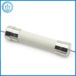 TUV UL PSE Ceramic Tube Miniature Cartridge Fuse 614 30A 250V With Axial Lead