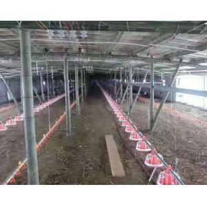 China Broiler Chicken Shed Automatic Pan Feeding System on sale