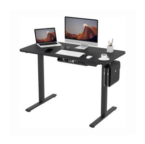 China 100 V/Hz Home Office Workstation Metal Dual Motor Computer Sit Stand Table for School factory
