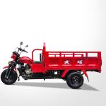DAYANG DY5 150 200 250CC Gasoline Engine Cargo Tricycle for Heavy Load