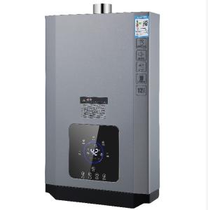 China Instant LP Gas Hot Water Heater For Bathroom 220V factory