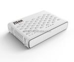 ZTE Fiber Optic Modem F660