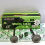 BAJAJ Motorcycle Engine Valve Spare Parts Motorbike Valve Standard Size