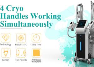 China Hot Germany Netherlands CE Approved clinic Cryolipolysis kryolipolyse body sculpting machine factory